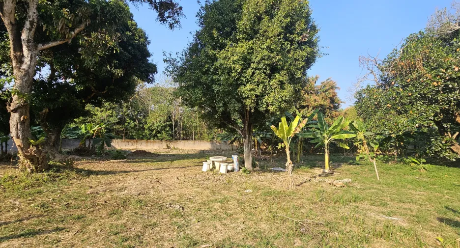 For sale land in Mueang Chiang Rai, Chiang Rai