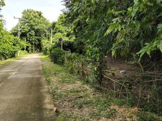 Продажа Участок в Phu Phiang, Nan