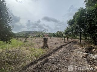 For sale land in Thalang, Phuket