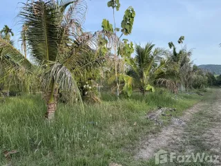For sale land in Thalang, Phuket