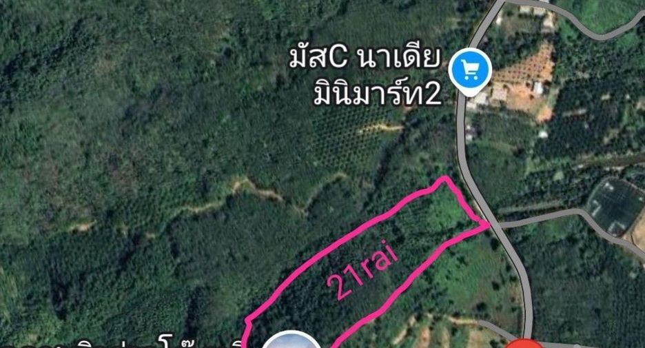 Продажа Участок в Takua Thung, Пханга