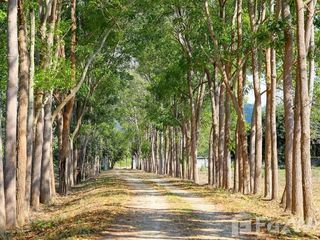 For sale land in Mueang Kanchanaburi, Kanchanaburi