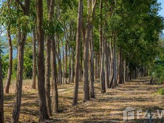 For sale land in Mueang Kanchanaburi, Kanchanaburi