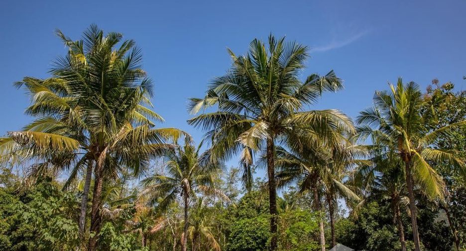 Продажа Участок в Mueang Kanchanaburi, Канчанабури