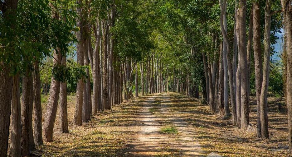 For sale land in Mueang Kanchanaburi, Kanchanaburi