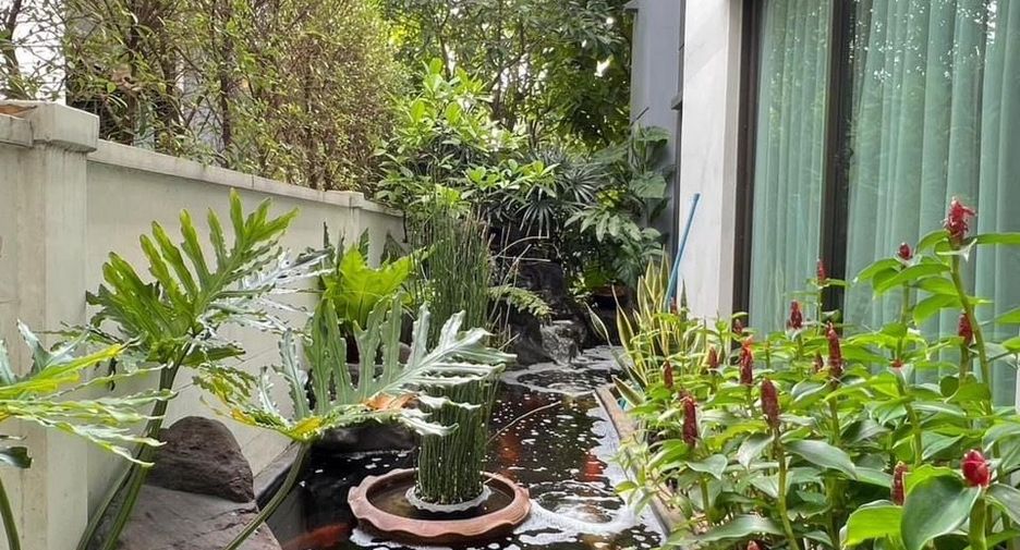 Casa en venta y en alquiler de 4 habitaciones en Bang Khen, Bangkok