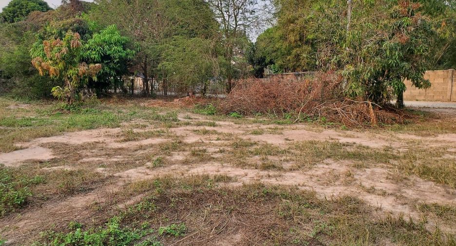 For sale land in Phu Kamyao, Phayao