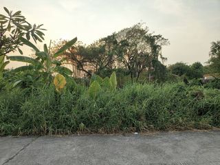 For sale land in Bueng Kum, Bangkok
