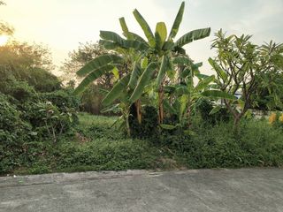 For sale land in Bueng Kum, Bangkok