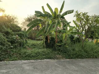 Terreno en venta en Bueng Kum, Bangkok