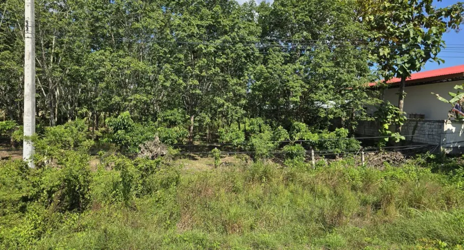For sale land in Chun, Phayao