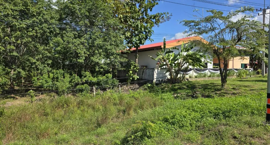 For sale land in Chun, Phayao