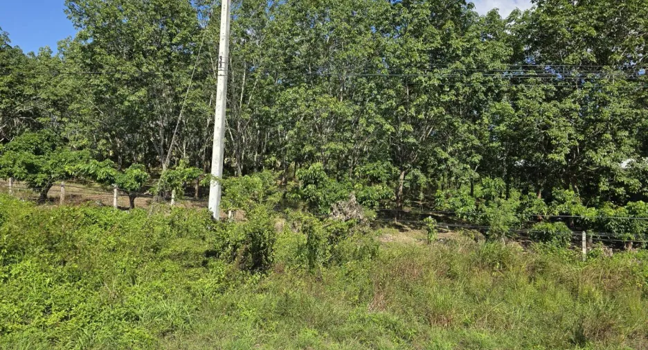 For sale land in Chun, Phayao