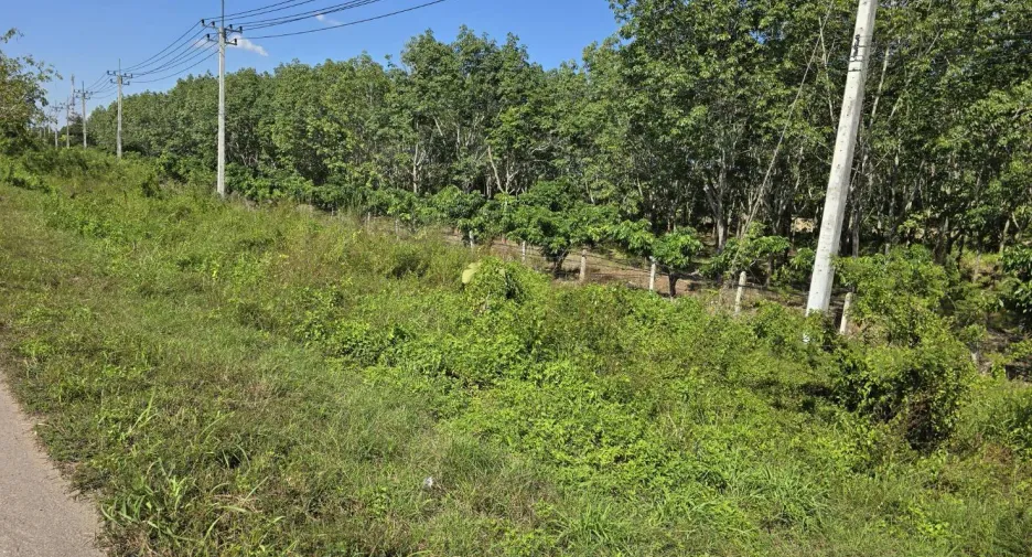 For sale land in Chun, Phayao