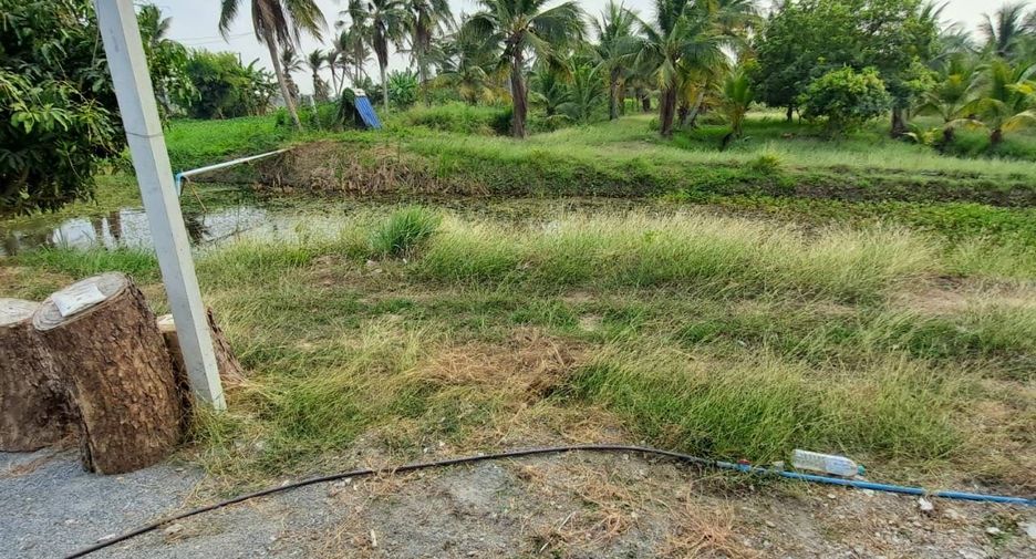 For sale land in U Thong, Suphan Buri