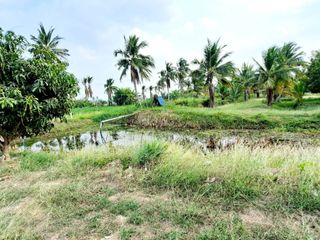 出售 土地 在 U Thong, Suphan Buri