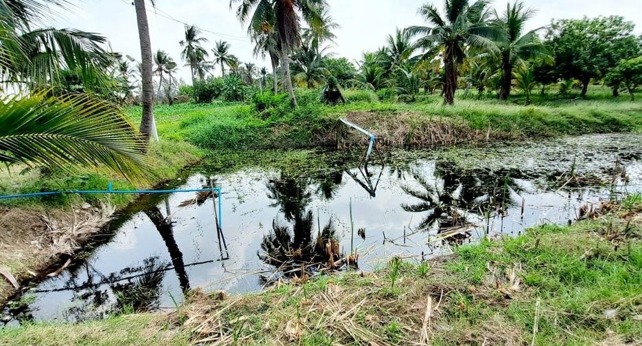 For sale land in U Thong, Suphan Buri