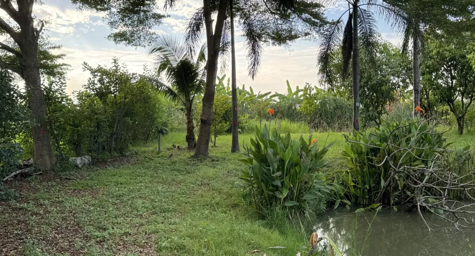 For sale 3 bedrooms house in Khlong Sam Wa, Bangkok