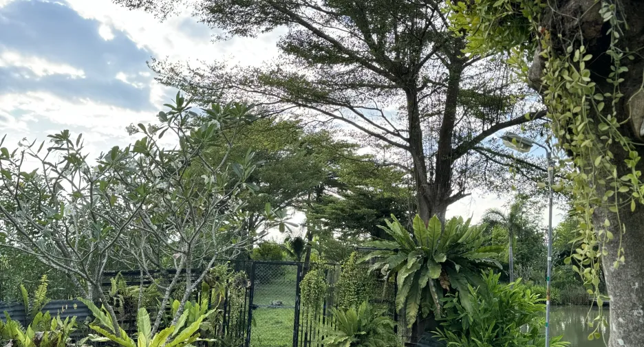 For sale 3 bedrooms house in Khlong Sam Wa, Bangkok
