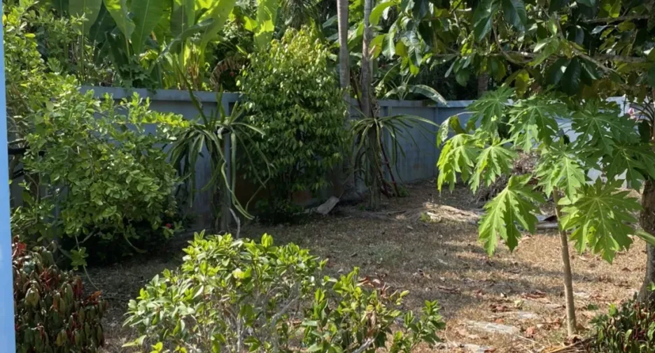 For rent 3 bedrooms house in Thalang, Phuket