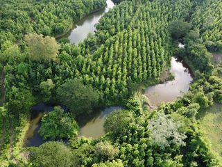Terreno en venta en Lom Kao, Phetchabun