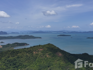 For sale land in Takua Thung, Phang Nga