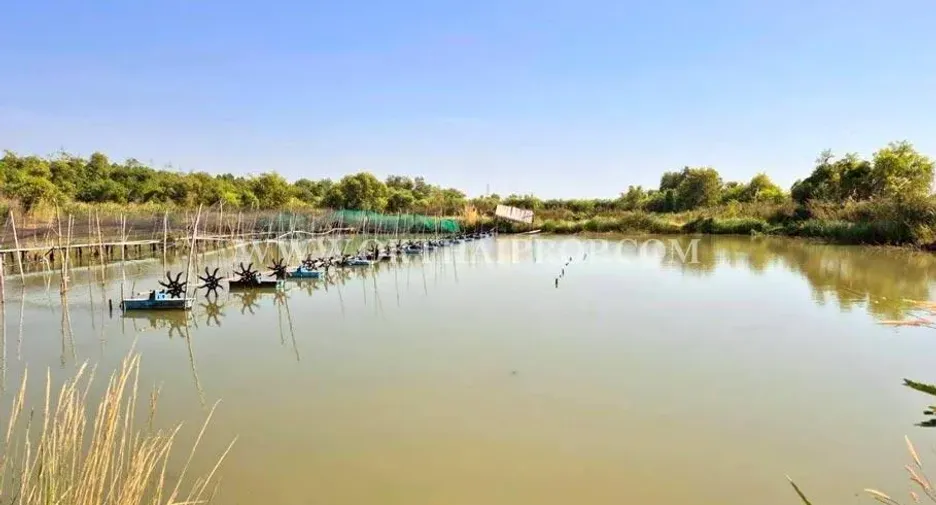 For sale land in Wang Noi, Phra Nakhon Si Ayutthaya