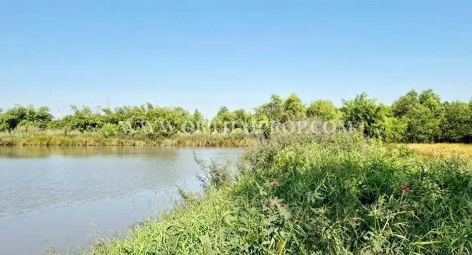 For sale land in Wang Noi, Phra Nakhon Si Ayutthaya