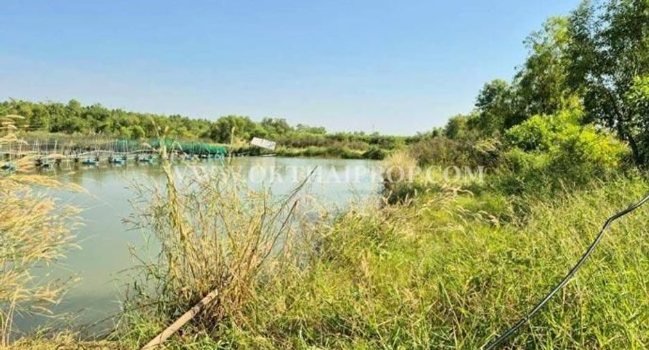 For sale land in Wang Noi, Phra Nakhon Si Ayutthaya