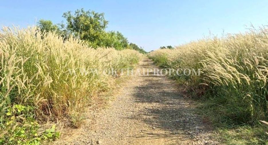 For sale land in Wang Noi, Phra Nakhon Si Ayutthaya