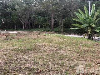 Продажа Участок в Ko Lanta, Краби