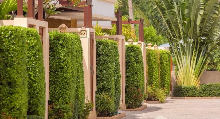 For rent 3 bedrooms villa in Mueang Phuket, Phuket