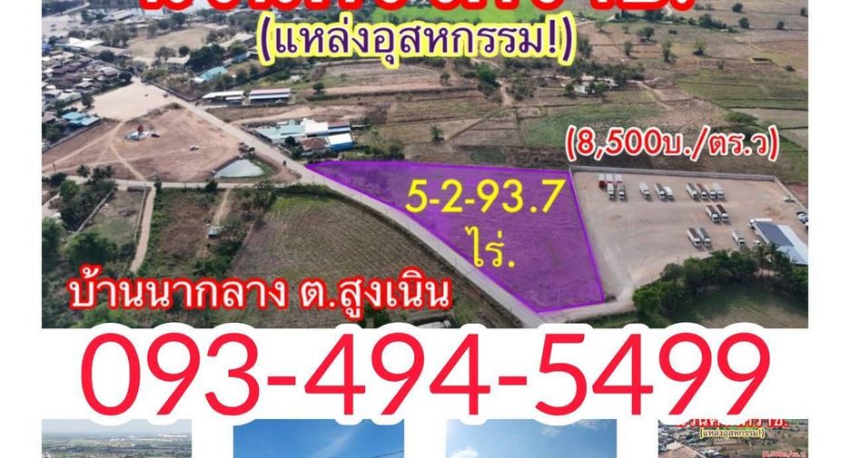 For sale land in Sung Noen, Nakhon Ratchasima