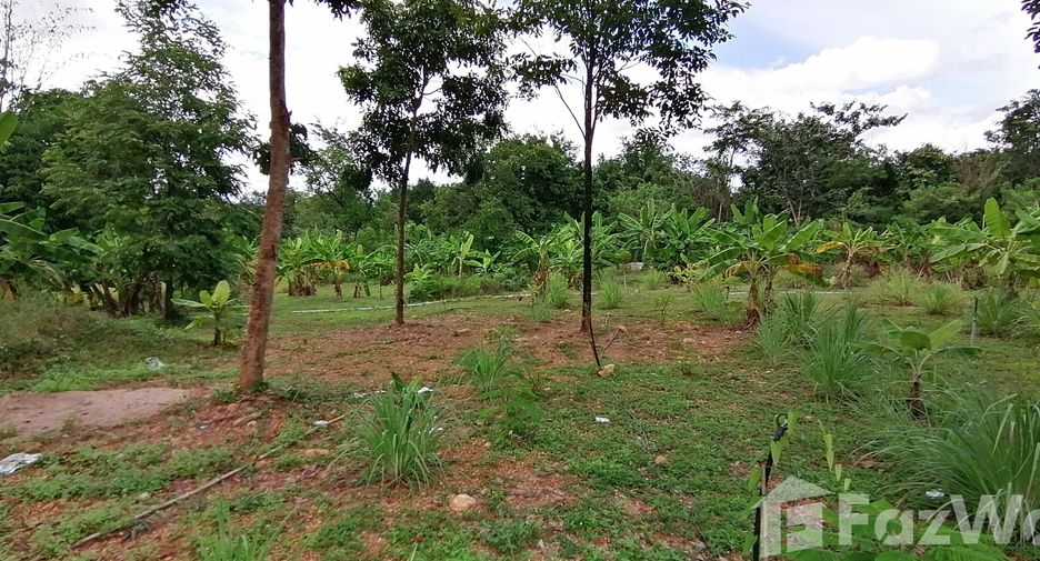 For sale land in Nong Ya Plong, Phetchaburi