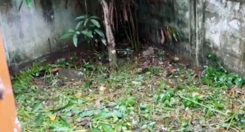 出租 2 卧室 联排别墅 在 Mueang Chiang Rai, Chiang Rai