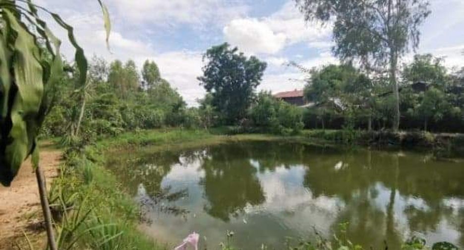 For sale 4 bedrooms house in Ban Khwao, Chaiyaphum
