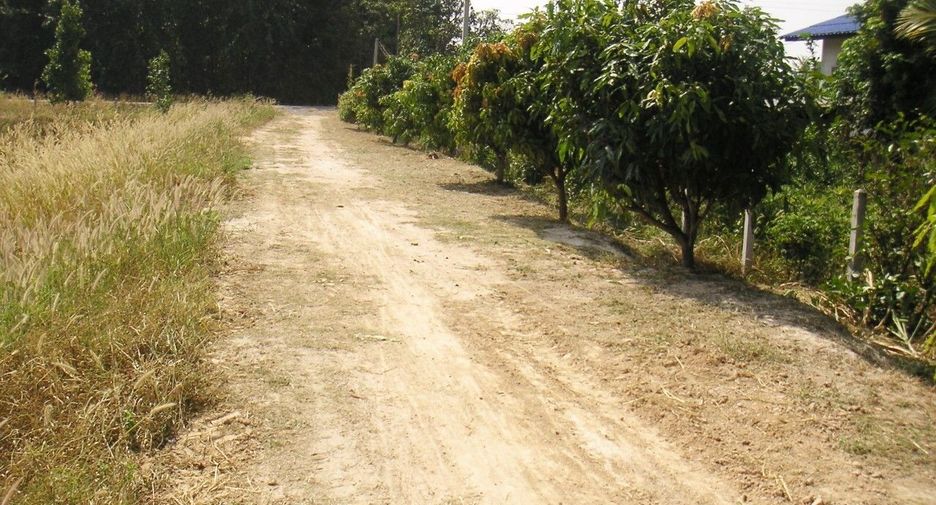 For sale land in Somdet, Kalasin