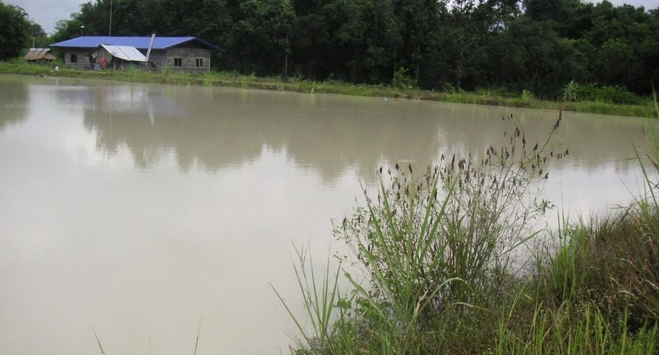 For sale land in Somdet, Kalasin