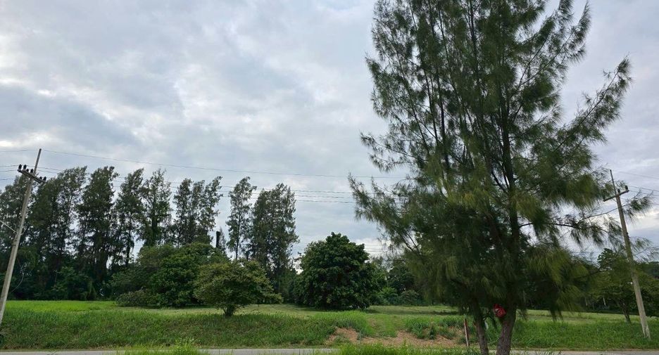 For sale land in Muak Lek, Saraburi