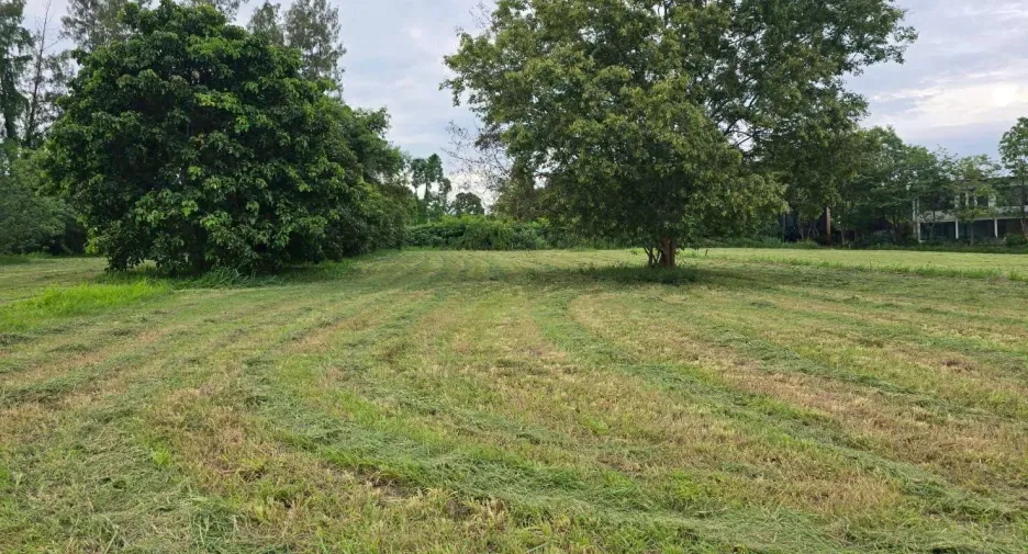 For sale land in Muak Lek, Saraburi