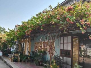 ขาย ที่ดิน ใน เมืองสุรินทร์, สุรินทร์