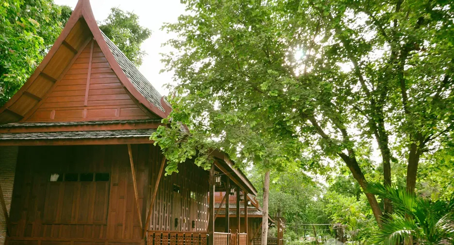 For sale land in Mueang Sukhothai, Sukhothai