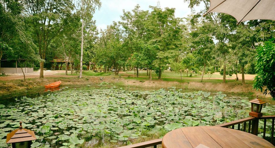 For sale land in Mueang Sukhothai, Sukhothai