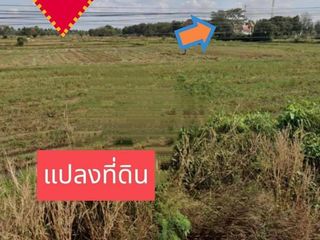 ขาย ที่ดิน ใน จักราช, นครราชสีมา