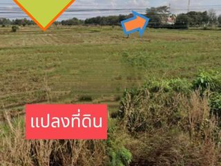 ขาย ที่ดิน ใน จักราช, นครราชสีมา