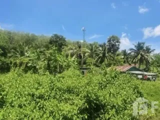À vendre terrain à Mueang Phuket, Phuket