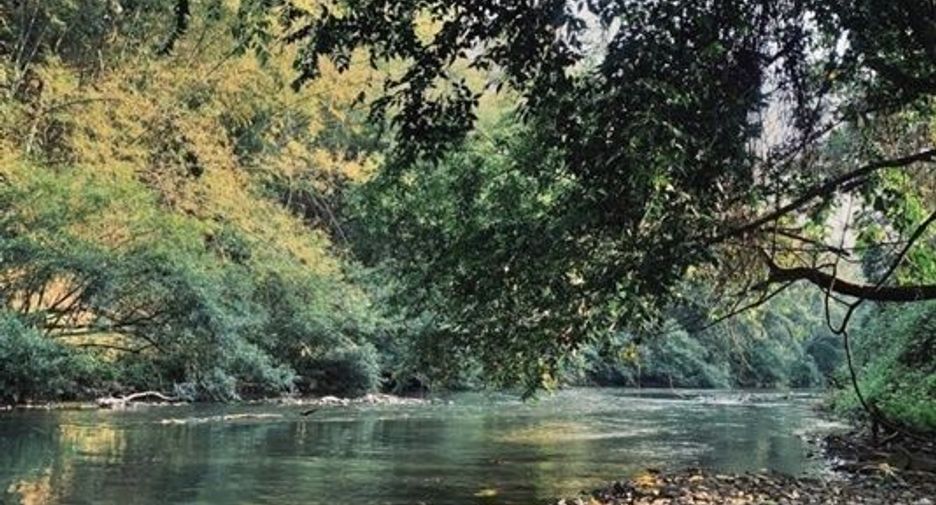 ขาย ที่ดิน ใน เชียงดาว, เชียงใหม่