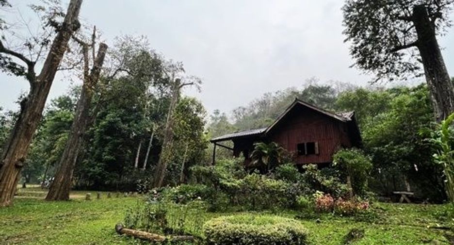 ขาย ที่ดิน ใน เชียงดาว, เชียงใหม่