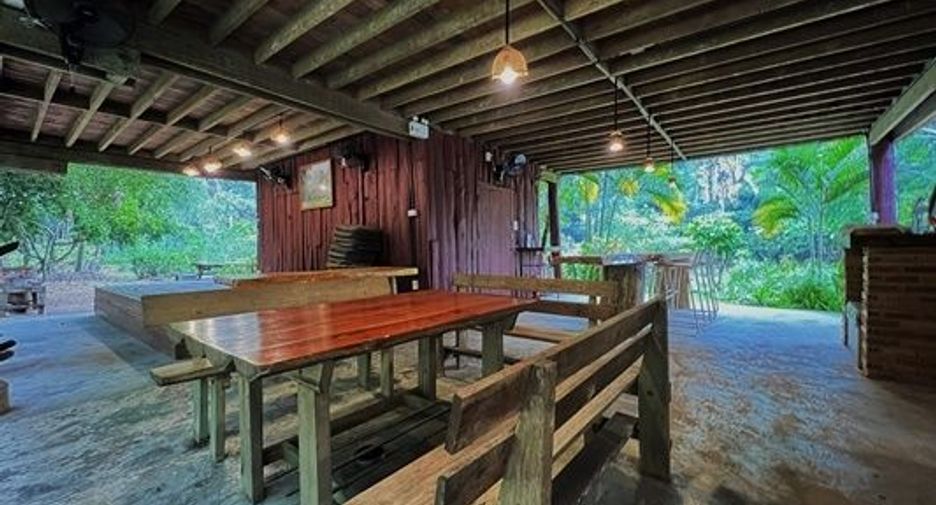 ขาย ที่ดิน ใน เชียงดาว, เชียงใหม่