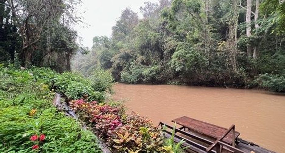 ขาย ที่ดิน ใน เชียงดาว, เชียงใหม่